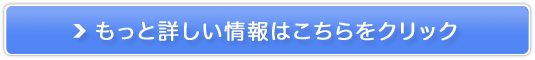 �r�Y�C���O���b�V���̔��T�C�g��